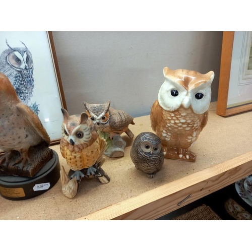 583 - A collection of owl figures including Poole, Beswick one is a/f, plus 2 pictures and 2 other birds