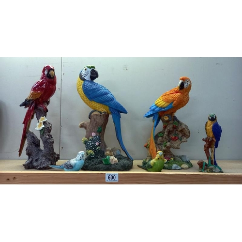 600 - 3 fabulous parrot figures plus small one which is a/f and 2 budgies