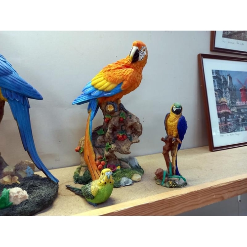 600 - 3 fabulous parrot figures plus small one which is a/f and 2 budgies