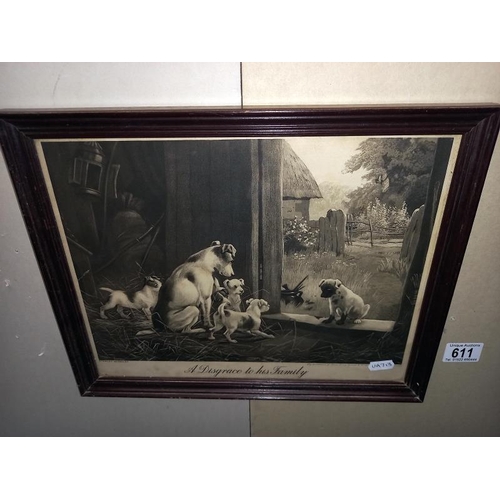 611 - 2 framed and glazed prints of terrier and her pups, 'A disgrace to his family' and 'A credit to his ... 