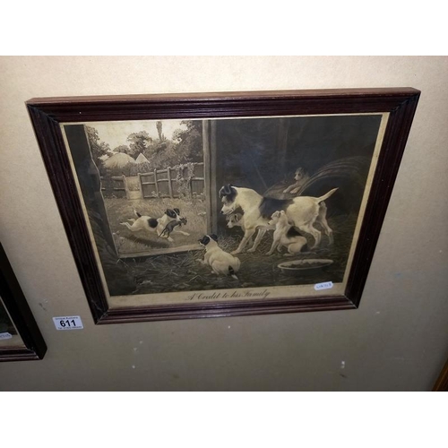 611 - 2 framed and glazed prints of terrier and her pups, 'A disgrace to his family' and 'A credit to his ... 