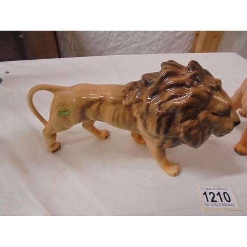 1210 - A Beswick lion and lioness.