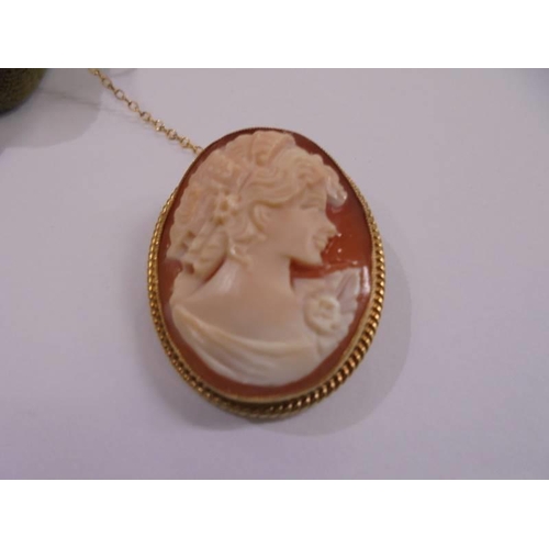 1012 - A 9ct gold mounted cameo of a female profile with safety chain,