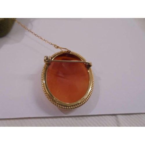 1012 - A 9ct gold mounted cameo of a female profile with safety chain,