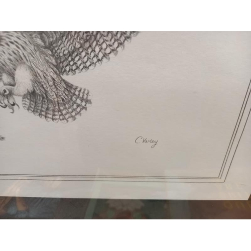 715 - A black and white print of an owl in flight by C Varley 58cm x 48cm