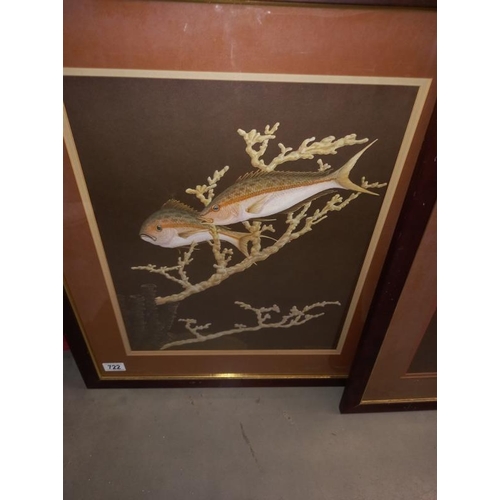 722 - 2 x Roy Taylor 1972 framed and glazed prints of fish  57cm x 67cm Collect only