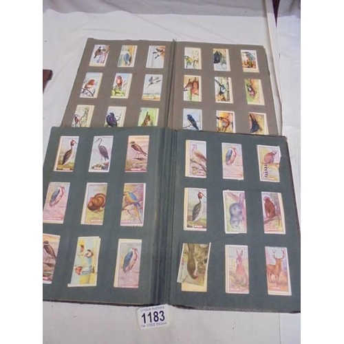 1183 - Two albums of cigarette cards including animals and birds, albums a/f.