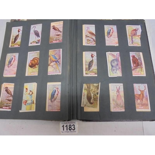 1183 - Two albums of cigarette cards including animals and birds, albums a/f.