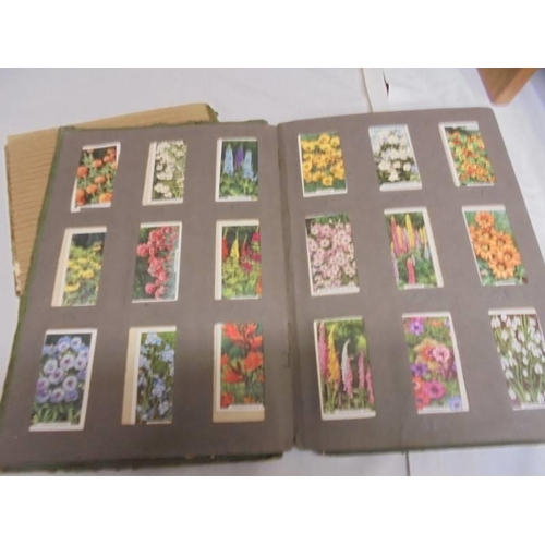 1183 - Two albums of cigarette cards including animals and birds, albums a/f.