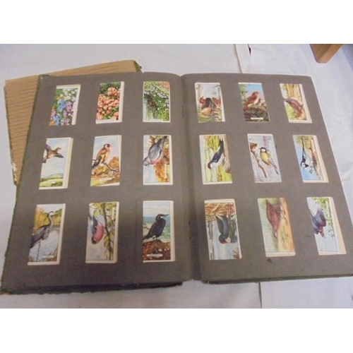 1183 - Two albums of cigarette cards including animals and birds, albums a/f.