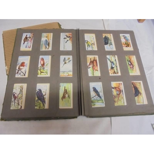 1183 - Two albums of cigarette cards including animals and birds, albums a/f.