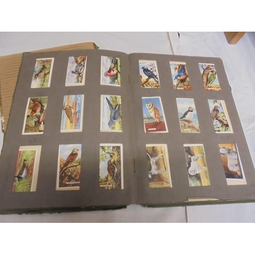 1183 - Two albums of cigarette cards including animals and birds, albums a/f.