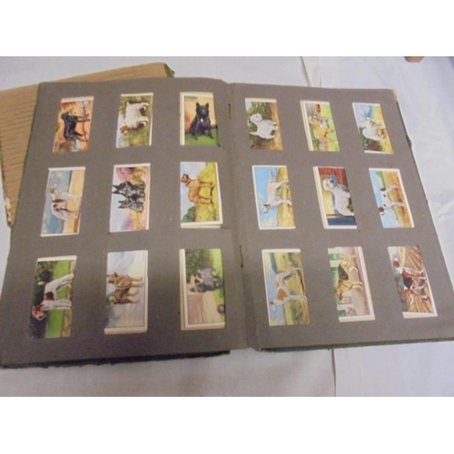 1183 - Two albums of cigarette cards including animals and birds, albums a/f.