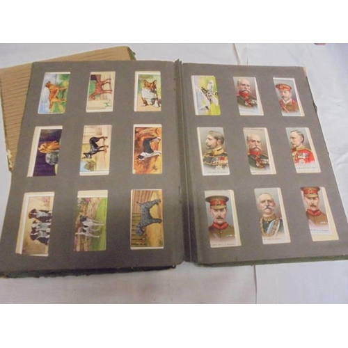 1183 - Two albums of cigarette cards including animals and birds, albums a/f.