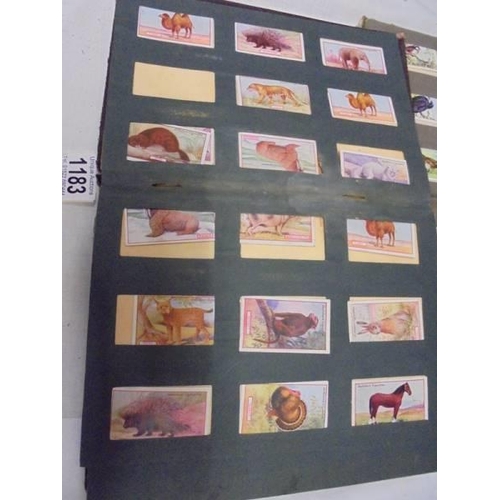 1183 - Two albums of cigarette cards including animals and birds, albums a/f.