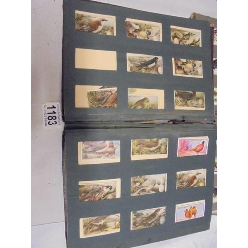 1183 - Two albums of cigarette cards including animals and birds, albums a/f.