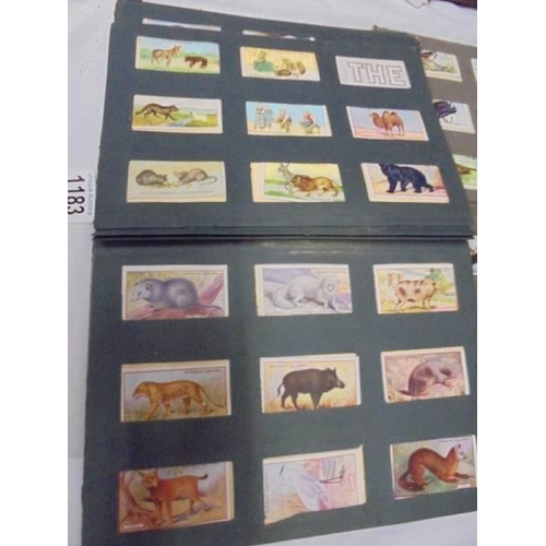 1183 - Two albums of cigarette cards including animals and birds, albums a/f.