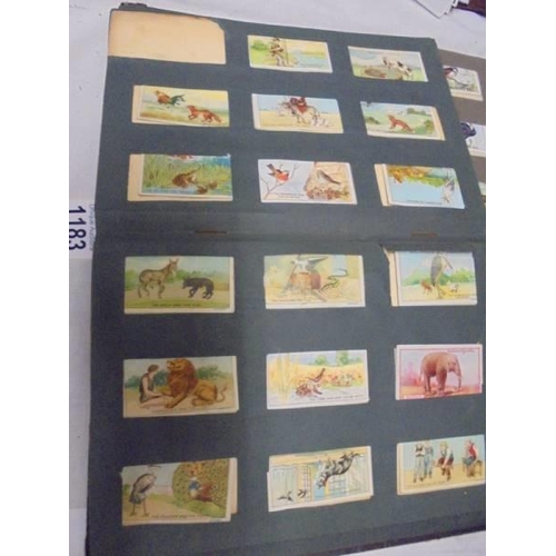 1183 - Two albums of cigarette cards including animals and birds, albums a/f.