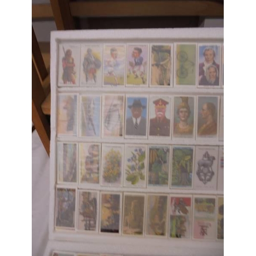 1185 - 125 sets of replica cigarette cards with information.