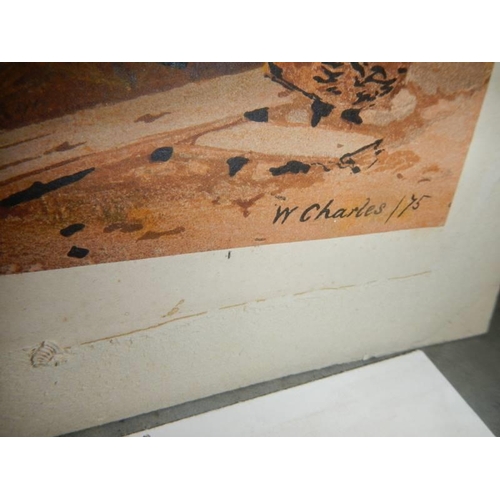 650 - An unframed watercolour signed W Charles '75 and other unframed pictures.