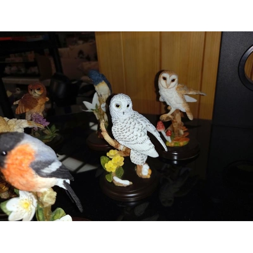 81 - A quantity of Country Artists bird ornaments