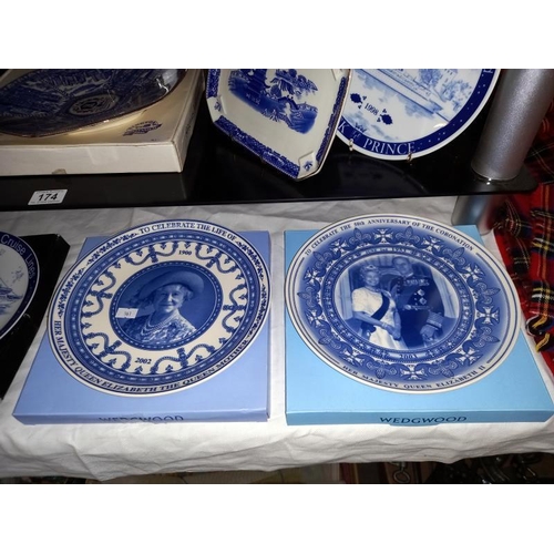 174 - A selection of blue & white cabinet collectors plates