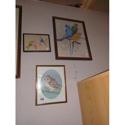 438 - A selection of pictures of birds including budgies, parrots and owl