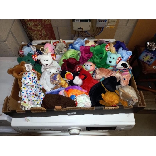 461 - Approx 32 Beanie babies