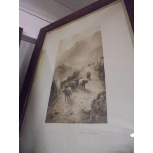 814 - A pair of framed and glazed engravings - End of Loch Lomond and Lock Katrine. COLLECT ONLY.