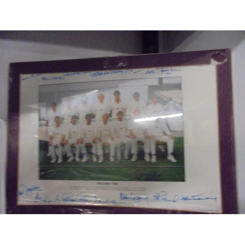 815 - Three England cricket team signed photographs - 1986, 1987 and 1988.