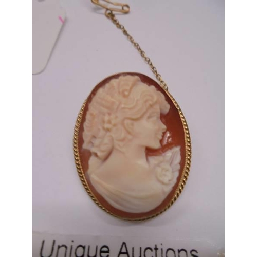 49 - A 9ct gold mounted cameo of a female profile with safety chain.