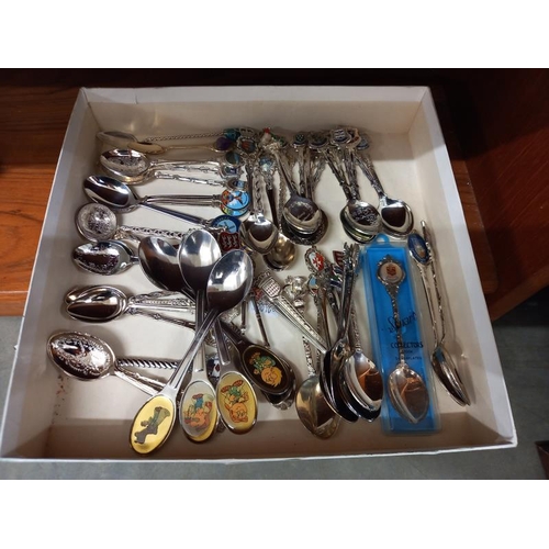 576 - A good collection of collectors spoons