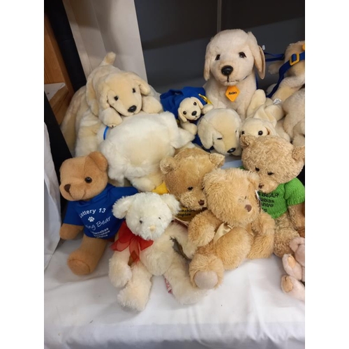 608 - A quantity of Andrex soft toy dogs & a quantity of Teddy Bears