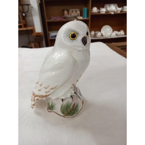 669 - A Crown Staffordshire fine bone china snowy owl on a pine tree log.  Signed M.R.T with a K scratched... 