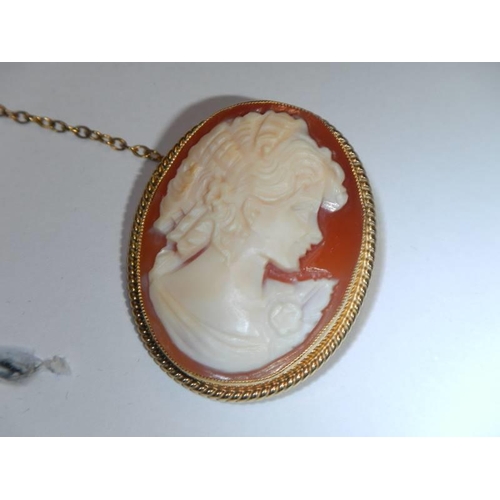 49 - A 9ct gold mounted cameo of a female profile with safety chain.