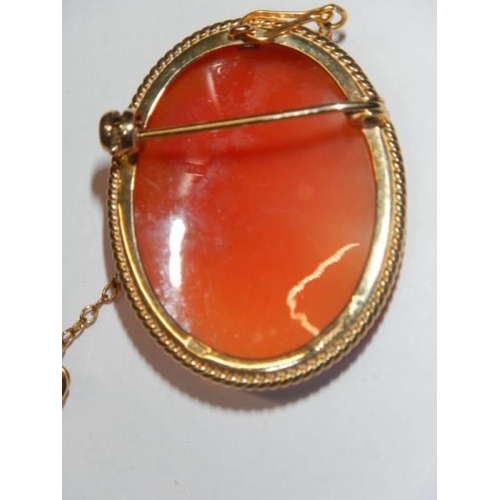 49 - A 9ct gold mounted cameo of a female profile with safety chain.