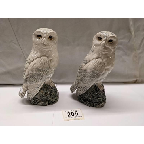 205 - Two Royal Doulton Whyte & Mackay snowy owl whisky decanters modelled by John J Longue, 1984.  one wi... 