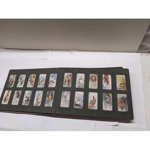 194 - A good selection of cigarette cards in albums.