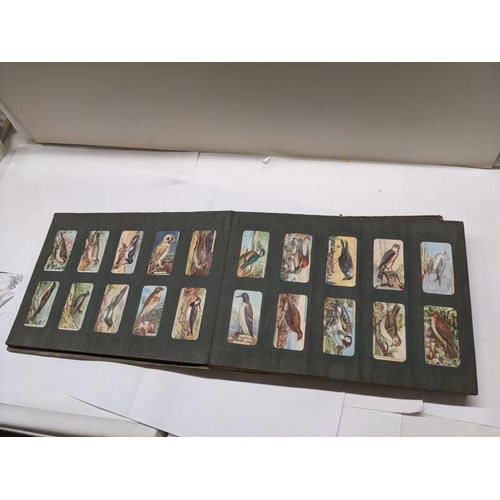 194 - A good selection of cigarette cards in albums.