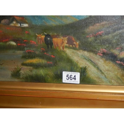 564 - An early 20th century canvas on board painting featuring cattle, 53 x 42 cm.