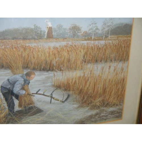 574 - A fine watercolour by Jasmin Bowles (Norfolk artist) of a reed cutter at Howhil Ludham, Norfolk, 54 ... 