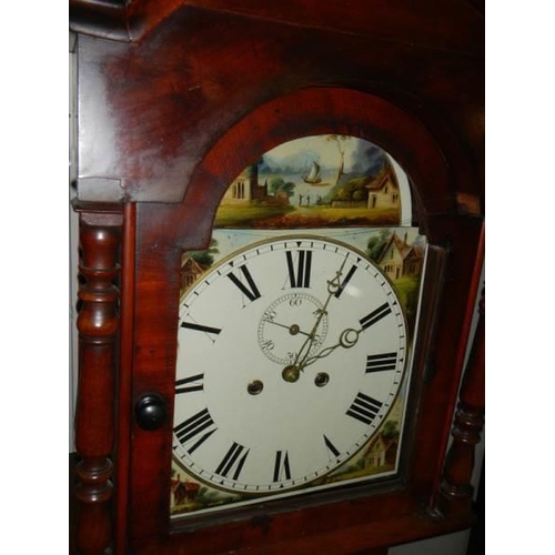 652 - A good 8 day painted dial Long case clock, in working order.