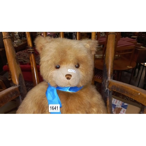 1641 - A Gund collectors bear COLLECT ONLY.