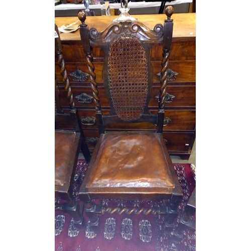 1645 - 4 Victorian oak dining chairs with bergère backs COLLECT ONLY.