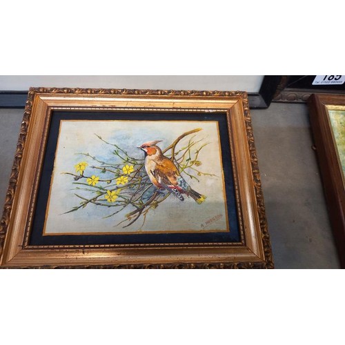 185 - A framed painting of a woodpecker and another bird picture.