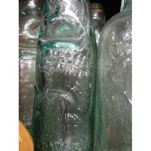 808 - A quantity of old bottles, all Gainsborough.