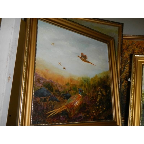 823 - A quantity of gilt framed oil on board rural scenes, COLLECT ONLY.