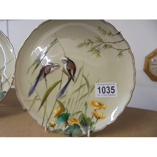 1035 - A pair of superb quality hand painted plates featuring birds.