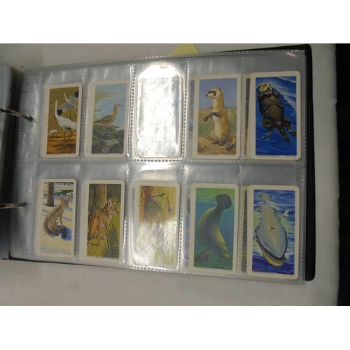 1052 - An excellent collection of Canada Brooke Bond tea cards.