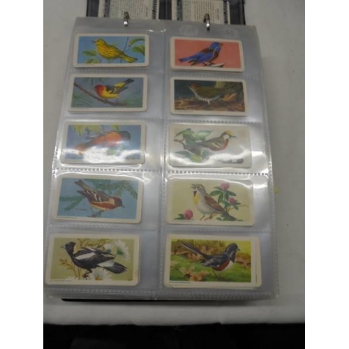 1052 - An excellent collection of Canada Brooke Bond tea cards.